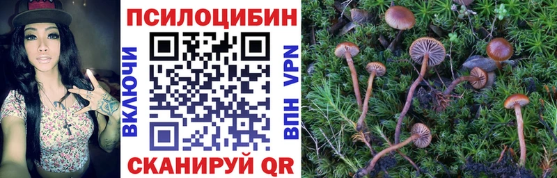 Псилоцибиновые грибы Psilocybe  как найти наркотики  Ковдор 